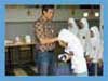 
				PT. Armindo CaturPratama